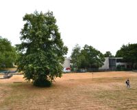 Blick in den Garten