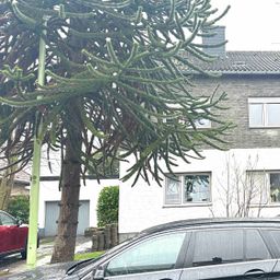 Aus ZWEI mach EINS…wunderbar wohnen in Merzenich-Girbelsrath