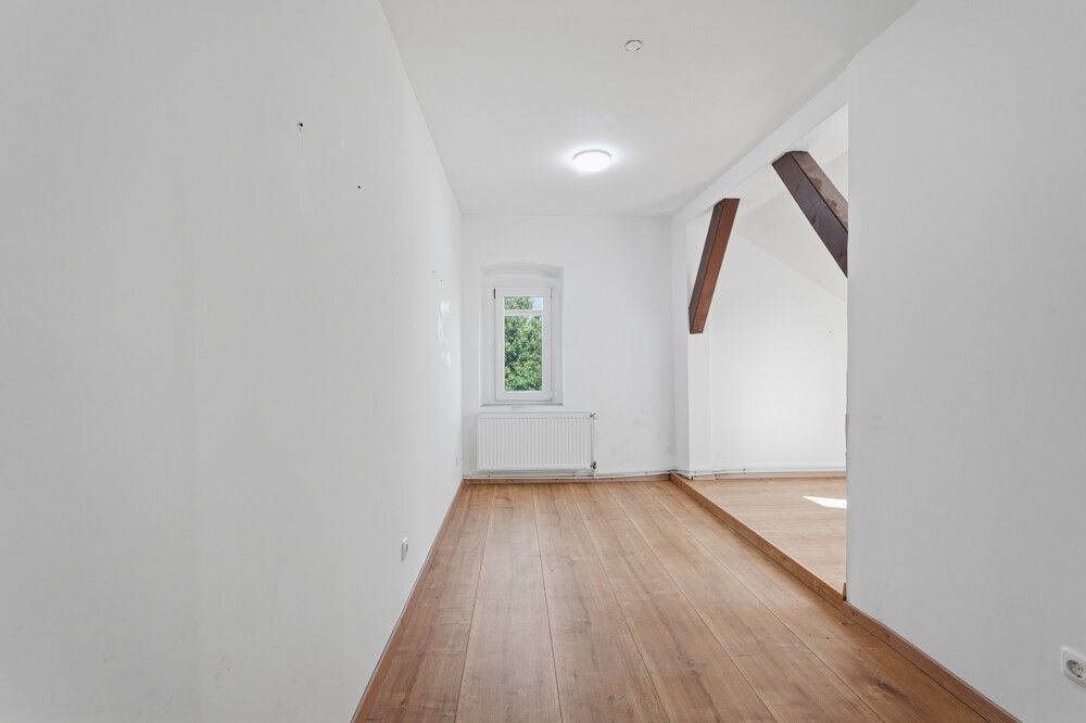 Zimmer DG_4