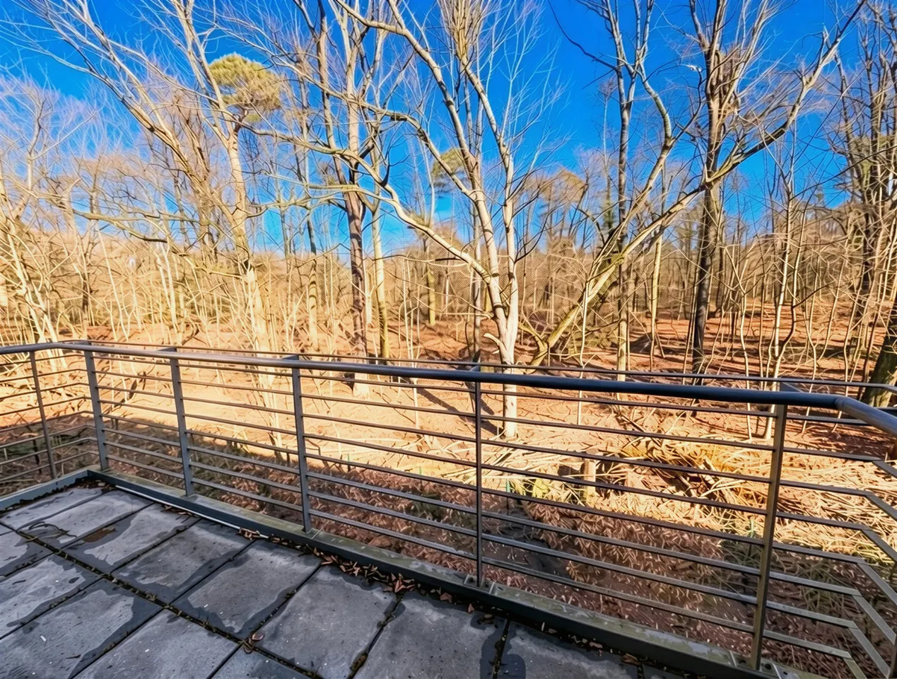 Blick zum Balkon
