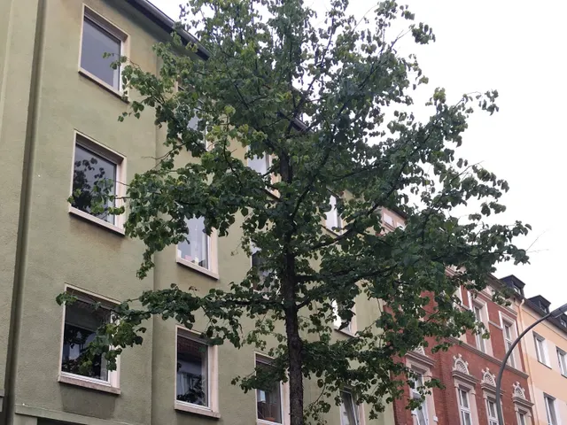 Viel Platz für Familien und Individualisten