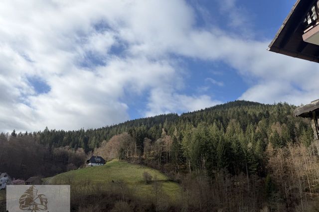 wunderschöne Aussicht in die Wälder