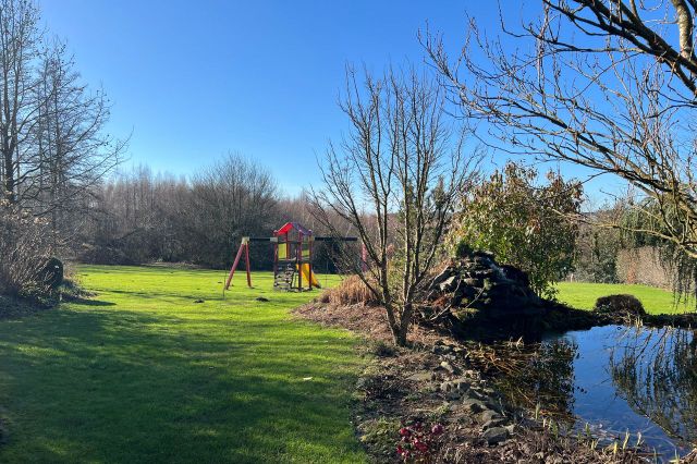 Gartenausschnitt III