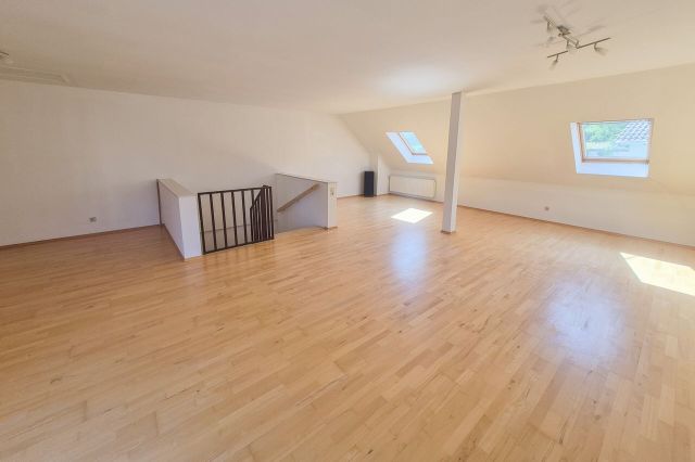 Studio (DG)