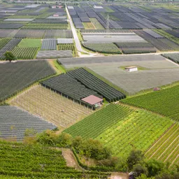 Immobilie im Außenbereich kaufen: Chancen und Hürden