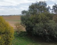 Aussicht aufs Feld