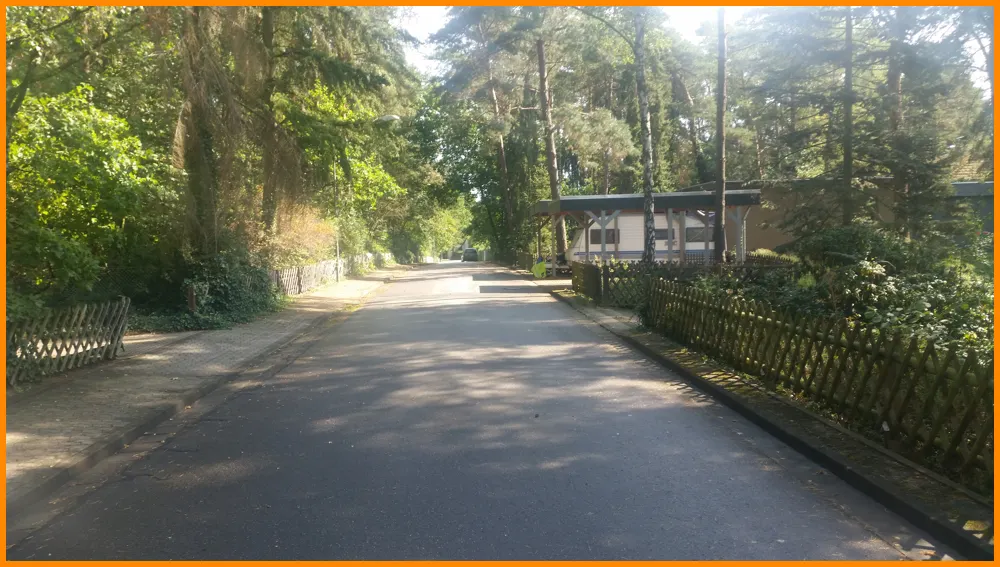 Leiferde Strasse wegsicht