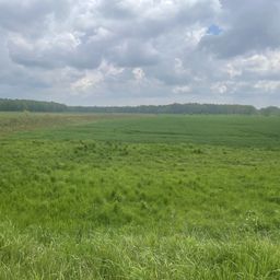 3 bis 50 ha Ackerland zu verkaufen