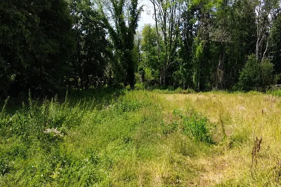 Traumhaftes und großes Baugrundstück am Waldrand in Nettetal-Breyell - Idyllisch am Bach gelegen!