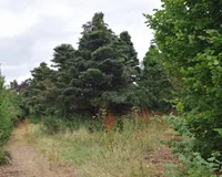 Grundstück