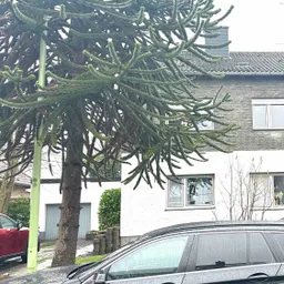 Aus ZWEI mach EINS…wunderbar wohnen in Merzenich-Girbelsrath