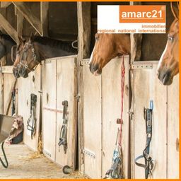 VERKAUFT – Reiterhof, gepflegt und bestens eingeführt