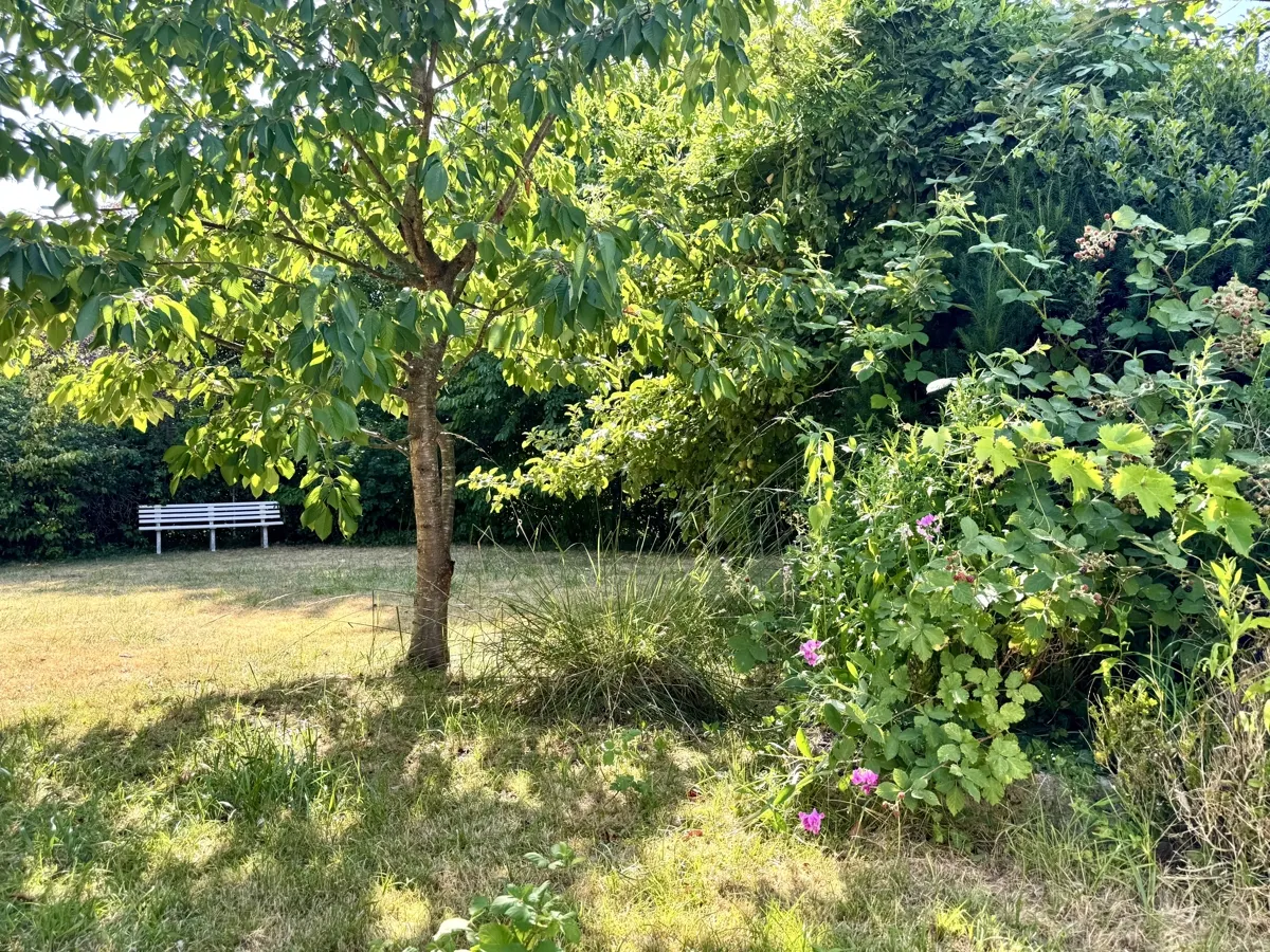 mit Blick in den Garten
