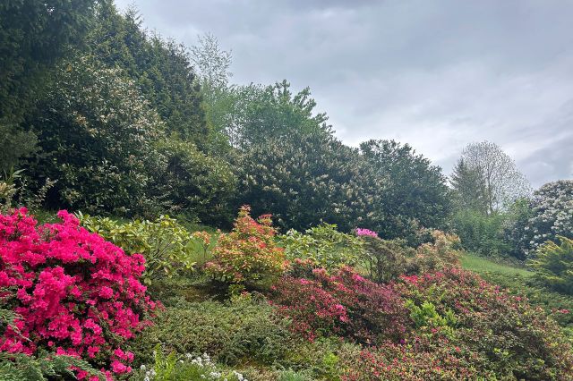 Garten Teilansicht