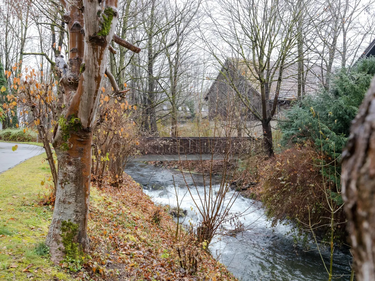 Seebach