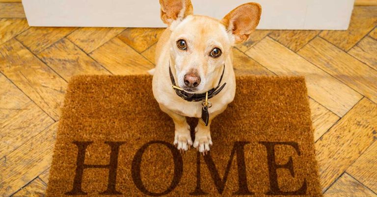 Immobilien: Kurzfristig teurer – dafür langfristig günstiger?