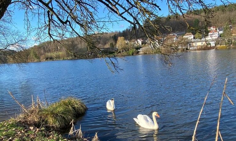 der Niederw&uuml;rzbacher Weiher