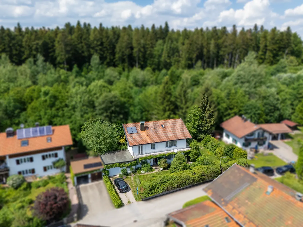 Hausansicht - Wald i. Hntergr.