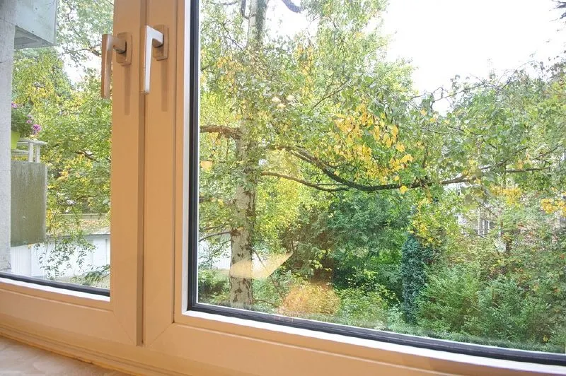 Hofblick