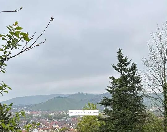 Aussicht auf die Grabkapellle auf dem Würrtemberg