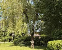 Blick vom Balkon in den Garten 