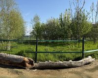 Freifläche mit Futterautomat 1-3