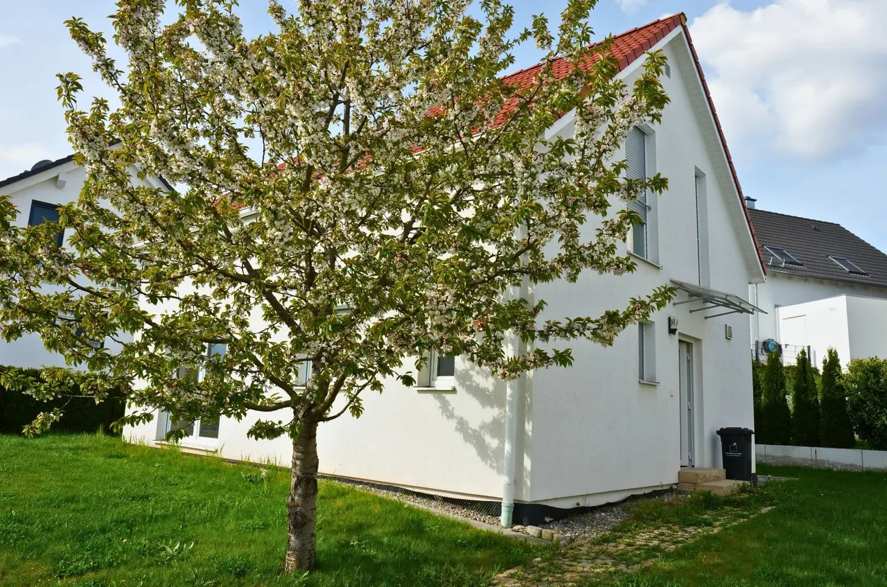 Daniel Zell Immobilien