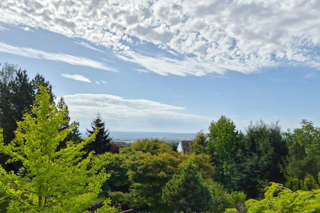 Fernblick