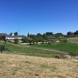 Reitanlage auf 11,5 ha zu verkaufen