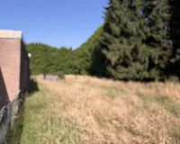 Wiese hinter dem Haus 