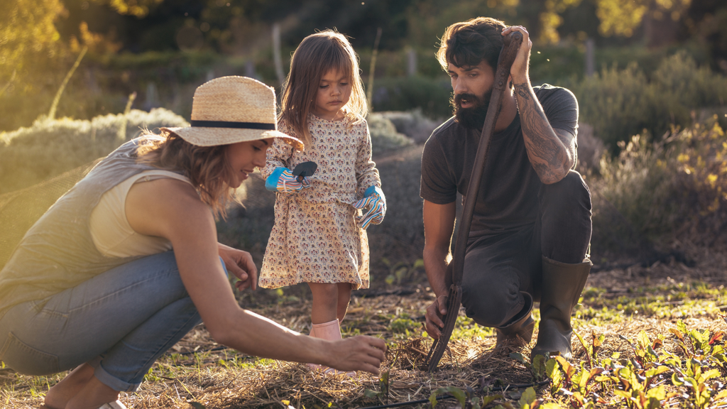 Ernteausfälle durch Schädlinge und Krankheiten: So können Landwirte reagieren