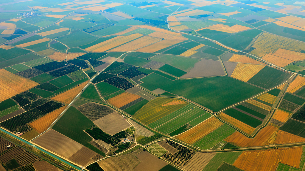 Rechtliches bei Agrarimmobilien: Das müssen Sie wissen