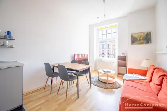 27622 HomeCompany Dresden Möbliert/Furnished 2-Zimmer Apartment in Dresden-Neustadt max.2 Personen