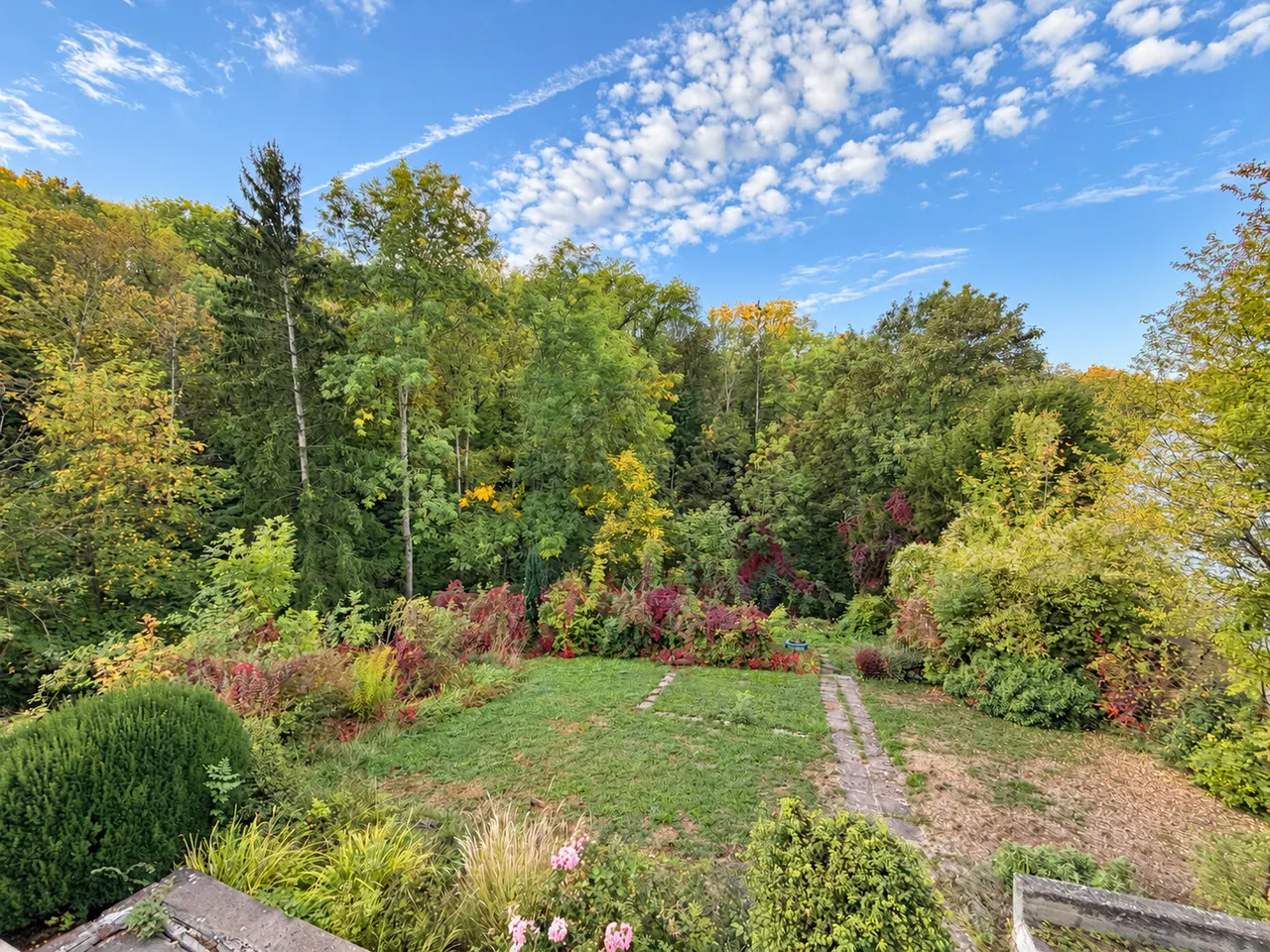 Blick in den Garten