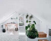 Dachstudio