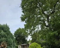 Gartenansicht