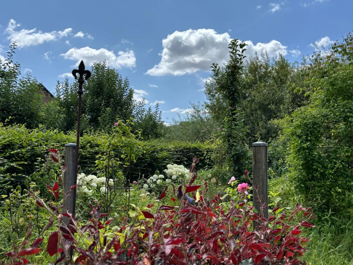 Farbenvielfalt im Sommer