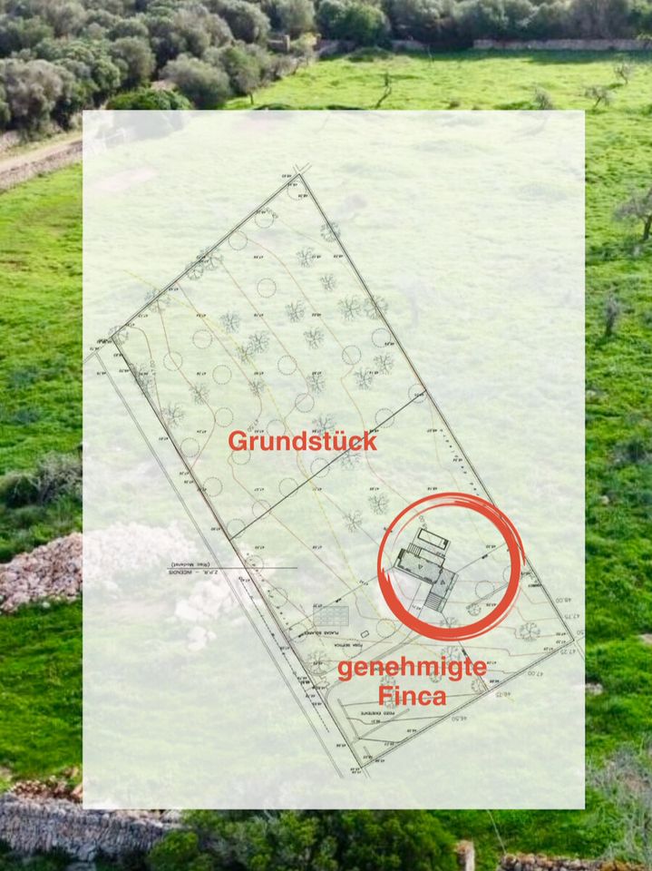 Ansicht Garten | Projektbild