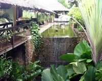 Koiteich im Wohnbereich