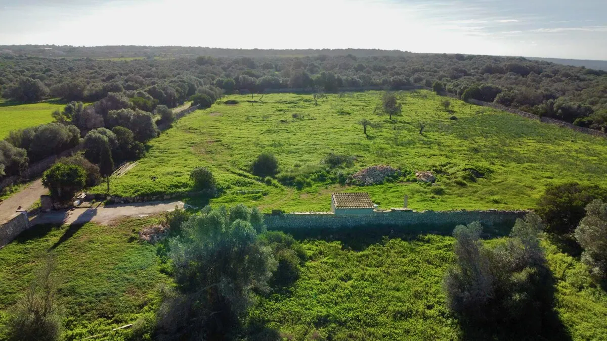 Ansicht Garten | Projektbild