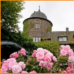 VERKAUFT  …noch im Dornröschenschlaf