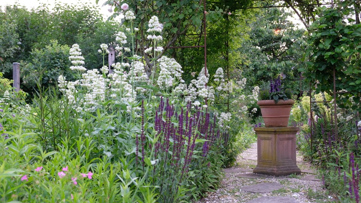 Impressionen im Sommer