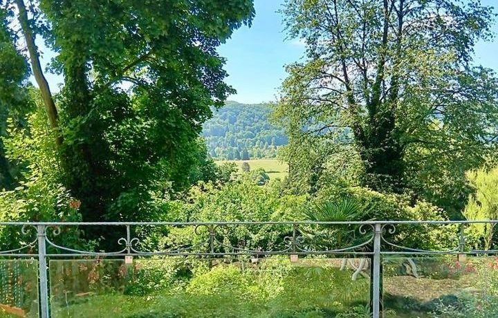 Ausblich ins Gr&uuml;ne