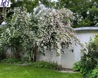 Garten mit Zugang Garage