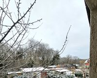 Blick aus dem Fenster in den Garten