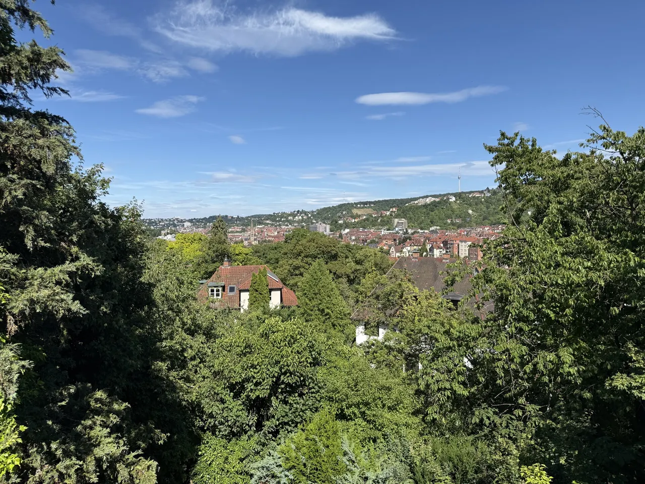 Ausblick