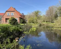 Teich am Haus 