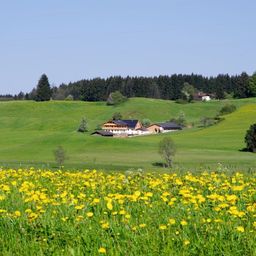 Idyllischer Bergbauernhof mit Panoramablick auf 4 ha in Alleinlage zu verkaufen