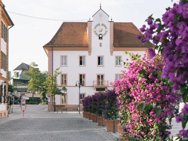 Repräsentative Lage mit gepflegtem Umfeld