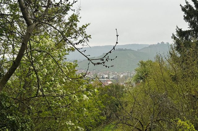 Aussicht auf die Grabkapelle auf dem Würrtemberg
